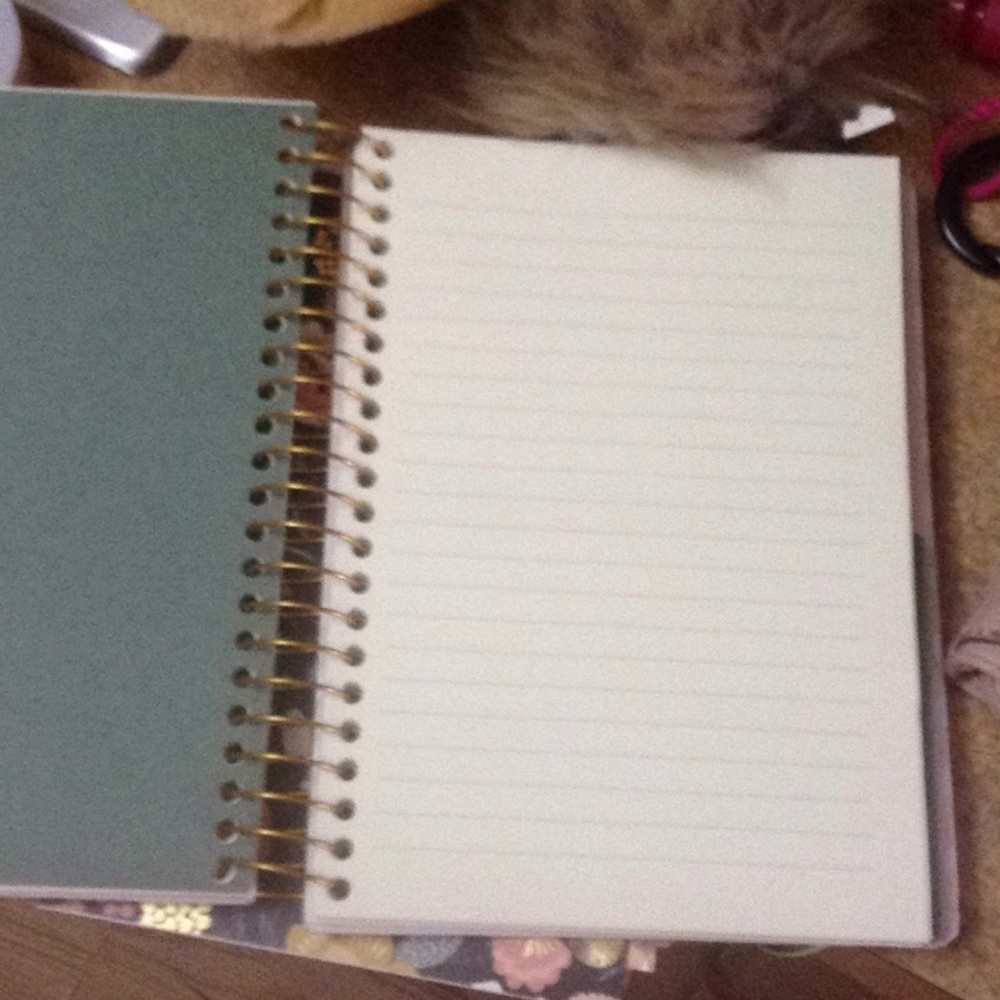 Journal - Picture 3 of 4